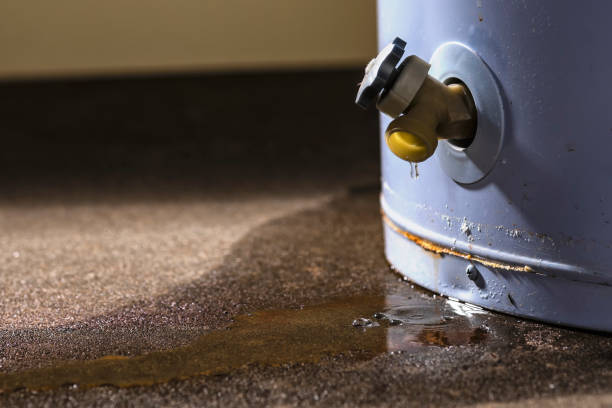 Best Water damage restoration near me  in North Pekin, IL