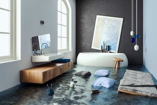 Best Local water damage restoration  in North Pekin, IL