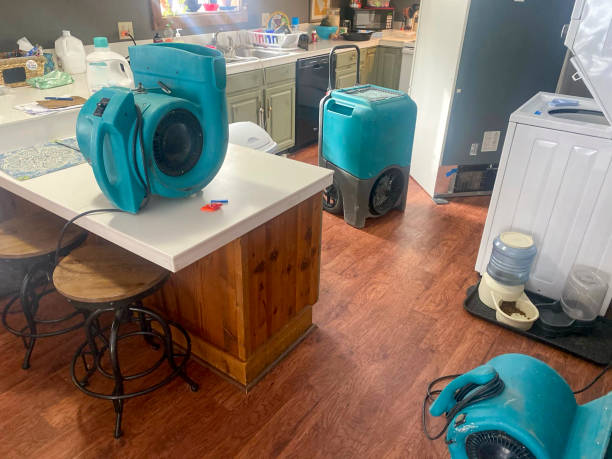 Reliable North Pekin, IL Water damage restoration Solutions
