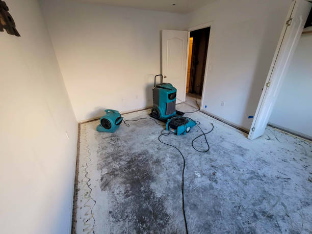 Best Water damage restoration near me  in North Pekin, IL