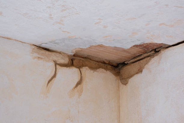 Best Water damage restoration near me  in North Pekin, IL
