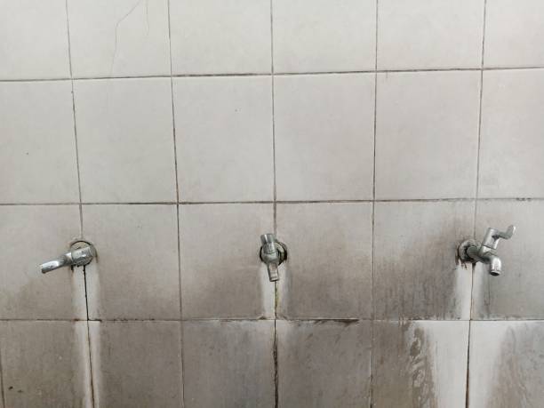 Best Commercial water damage restoration  in North Pekin, IL