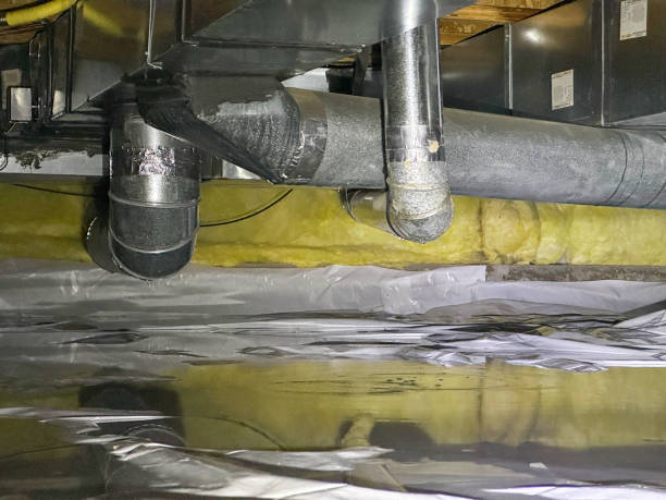 Best Professional water damage repair  in North Pekin, IL