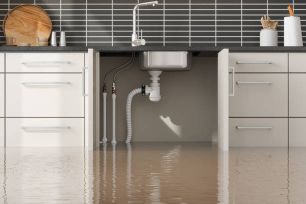 Best Emergency water extraction  in North Pekin, IL