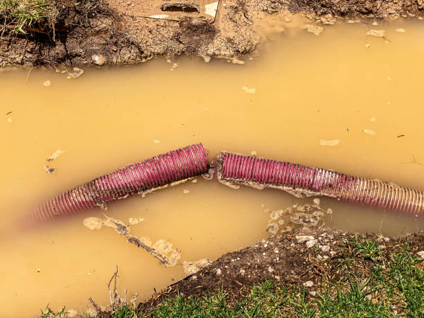 Water damage restoration mold remediation in North Pekin, IL
