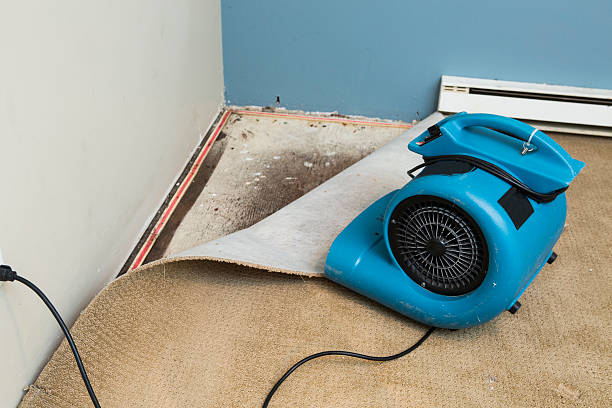 Water damage restoration mold remediation in North Pekin, IL